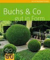 Buchs & Co. gut in Form