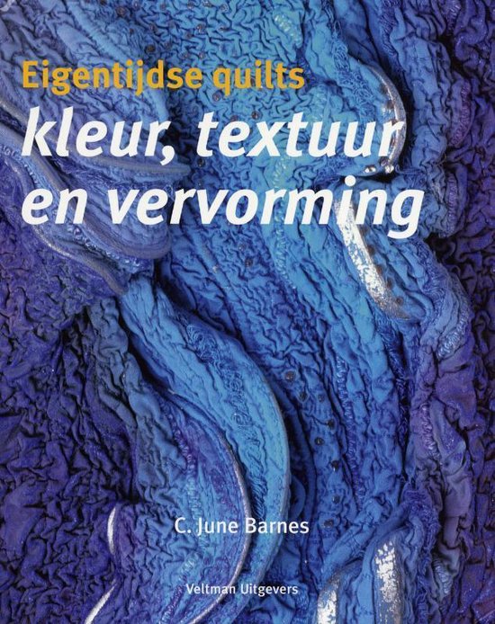 Cover van het boek 'Eigentijdse quilts' van C. June Barnes