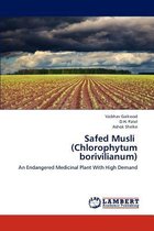 Safed Musli   (Chlorophytum borivilianum)