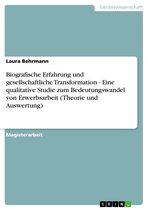 Biografische Erfahrung und gesellschaftliche Transformation - Eine qualitative Studie zum Bedeutungswandel von Erwerbsarbeit (Theorie und Auswertung)