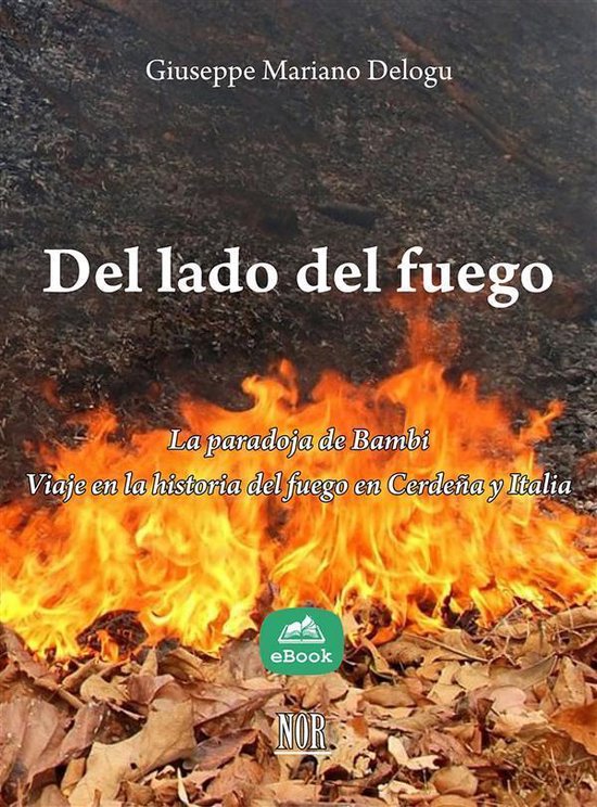 Thesis 2 - Del lado del fuego: la paradoja de Bambi - cover