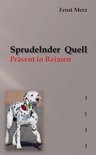 Sprudelnder Quell