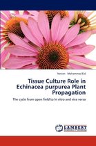 Tissue Culture Role in Echinacea Purpurea Plant Propagation