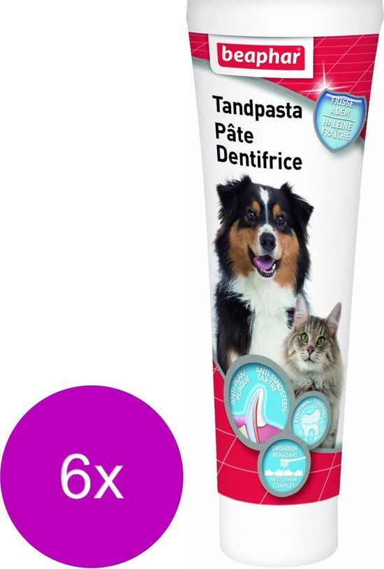 6x Beaphar Tandpasta voor Hond & Kat 100 gr | bol.com