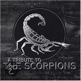 A Tribute To The Scorpions