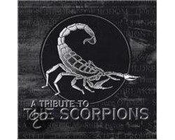 A Tribute To The Scorpions