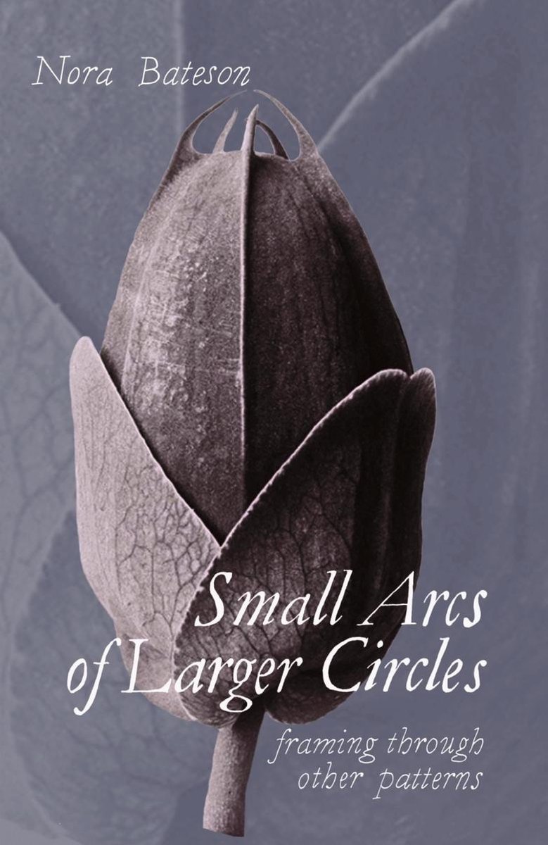 Omslag van Small Arcs of Larger Circles