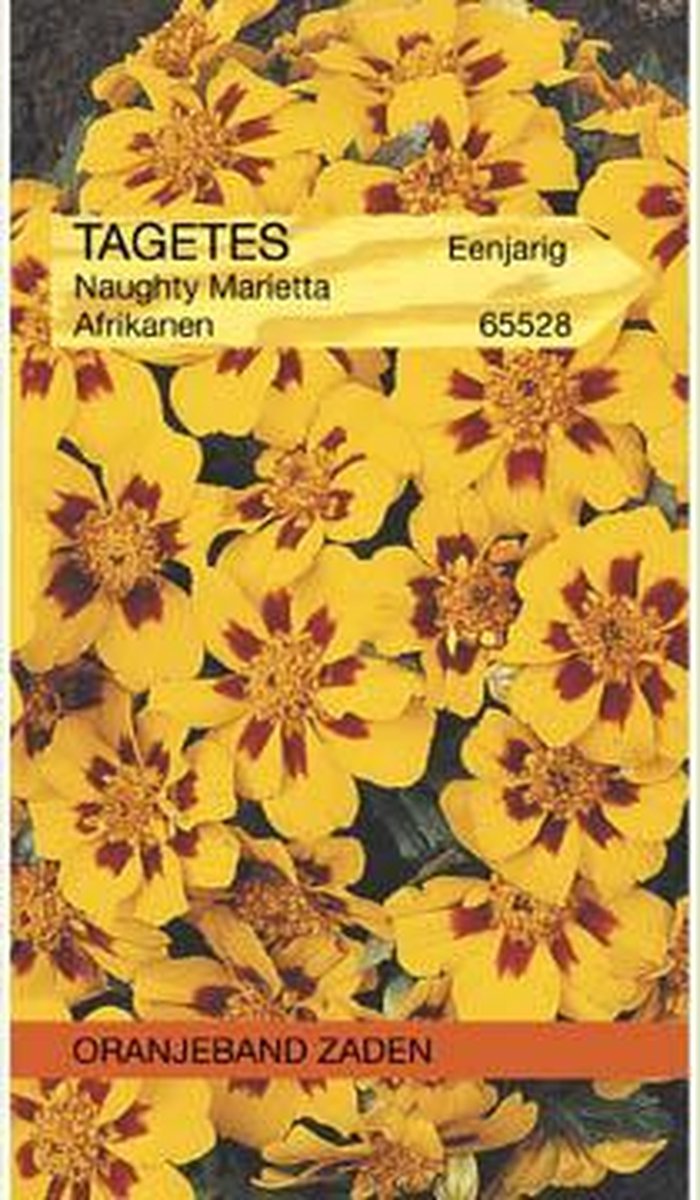 Tagetes, Afrikaan Naughty Marietta