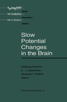 Brain Dynamics - Slow Potential Changes in the Brain