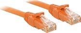 LINDY 48106 RJ45 Netwerkkabel, patchkabel CAT 6 U/UTP 0.50 m Oranje Snagless 1 stuk(s)