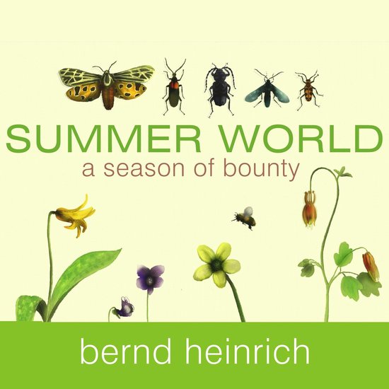 Summer World - cover