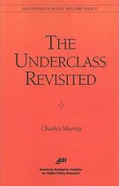 The Underclass Revisited