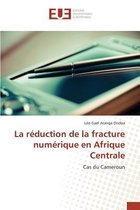 La R duction de la Fracture Num rique En Afrique Centrale