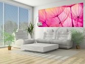 Flower Dandelion Photo Wallcovering