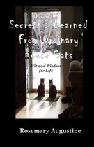 Secrets I Learned from Ordinary House Cats
