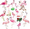 Flamingo, Roze, Rood, Groen, Zwart