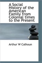 A Social History of the American Family from Colonial Times to the Present