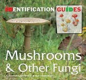 Mushrooms & Other Fungi