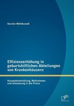 Effizienzerhöhung in geburtshilflichen Abteilungen von Krankenhäusern: Konzeptentwicklung, Maßnahmen und Umsetzung in die Praxis