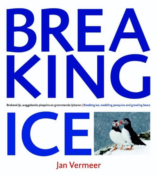 Cover van het boek 'Breaking Ice' van J. Vermeer