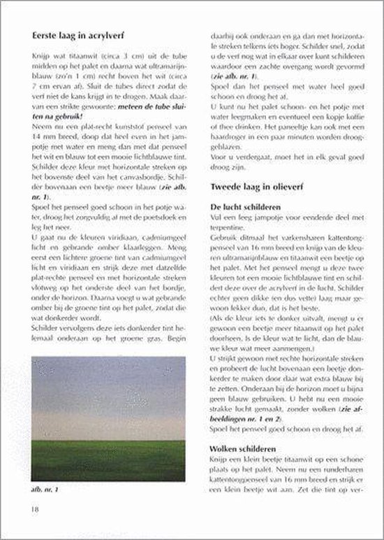 Schilderen Met Olieverf En Acryl