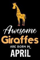 Awesome Giraffes Are Born in April