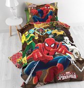 Spiderman - Heroes