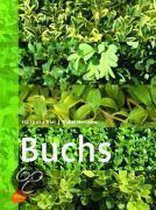 Buchs