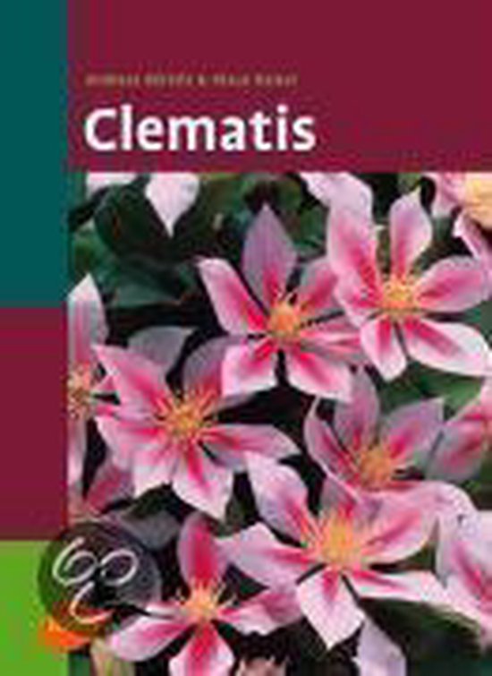 Clematis