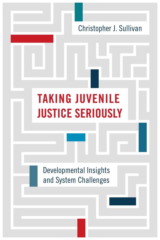 Taking Juvenile Justice Seriously - cover