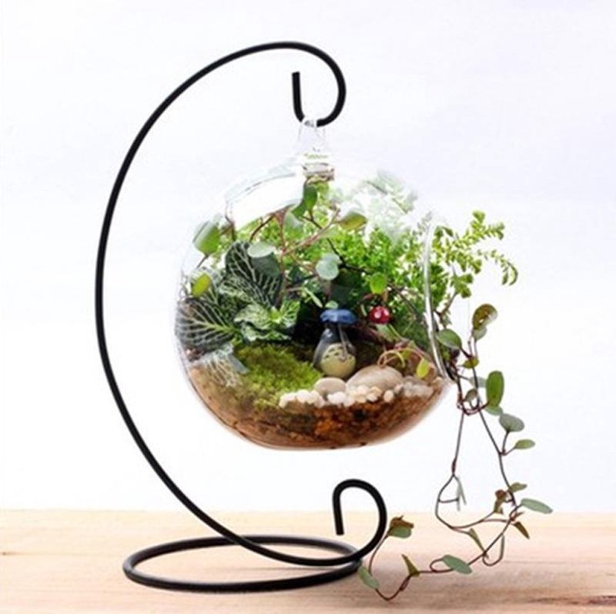 DZHJKIO Set van 6 glazen plantenbakken, wandhangende plantenbakken, ronde glazen plantenpotten, hangende luchtplantenpotten, bloemenvaas, luchtplanten, terraria, muurhangende plantencontainer