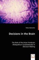 Decisions in the Brain