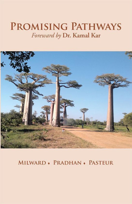 Promising Pathways - cover