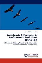 Uncertainty & Fuzziness in Performance Evaluation Using DEA