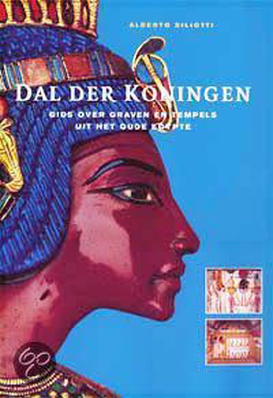 Cover van het boek 'Dal der koningen'
