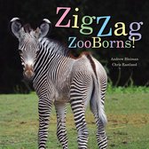 ZooBorns - ZigZag ZooBorns!