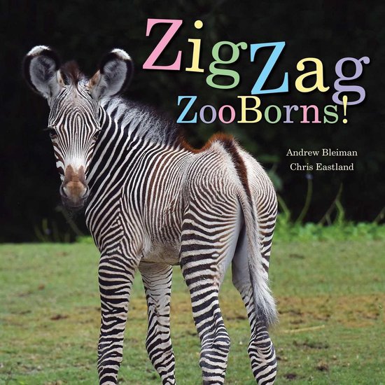 ZooBorns - ZigZag ZooBorns! - cover