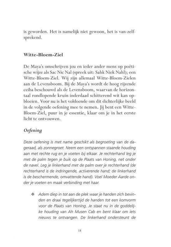 Maya-Piramidemeditatie