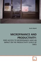 Microfinance and Productivity