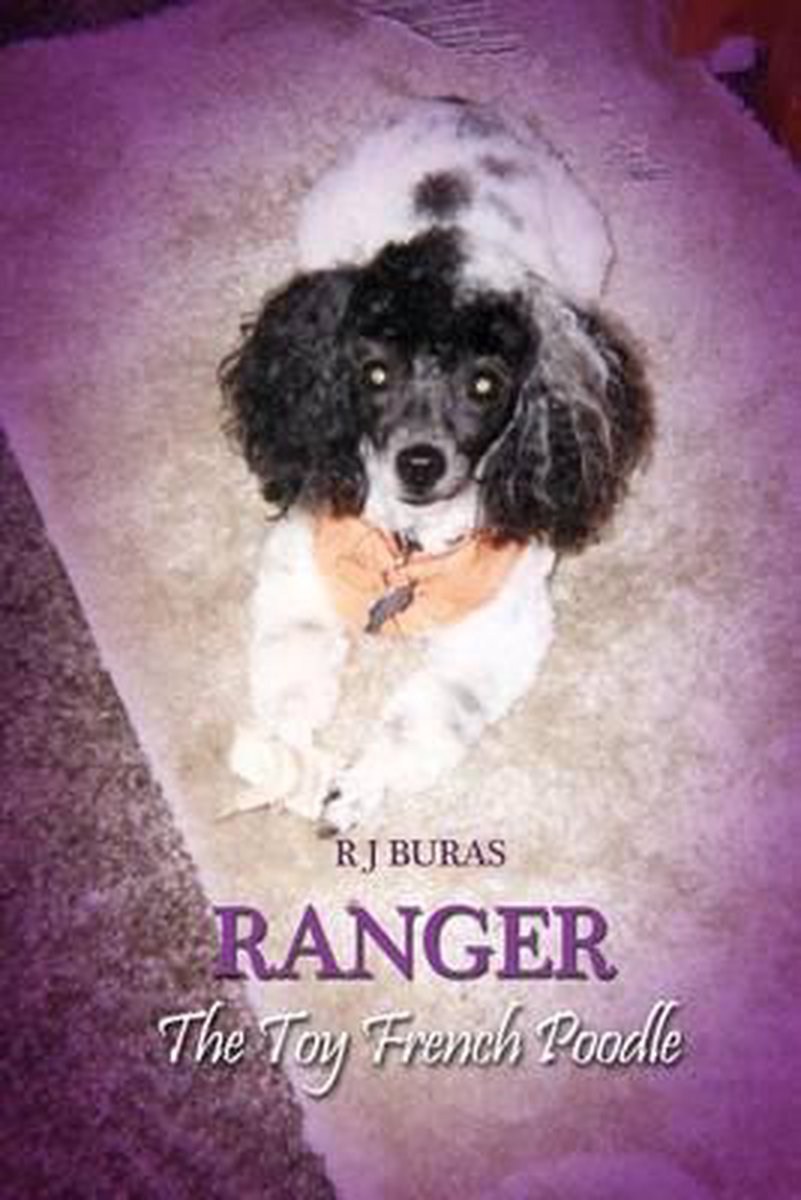 Ranger the Toy French Poodle - R J Buras