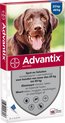 Bayer Advantix Vlooien & Teken Pipetten - Hond 25 Tot 40 kg - 6 stuks