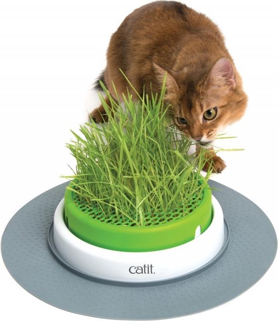 Cat-It Senses 2.0 Grass Planter - Kattengras