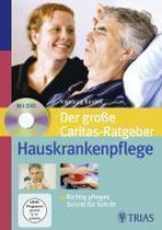 Der große TRIAS-Ratgeber Hauskrankenpflege