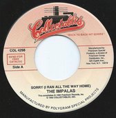 Single: The Impalas / The Penguins ‎– Sorry (I Ran All The Way Home) / Devil That I See