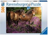 Ravensburger puzzel Pony's tussen de Hei - legpuzzel - 500 stukjes