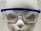 2 X Onesize veiligheidsbril Blauw met verstelbare pootjes