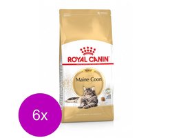 Royal Canin Maine Coon Adult - Kattenvoer - 6 x 2 kg