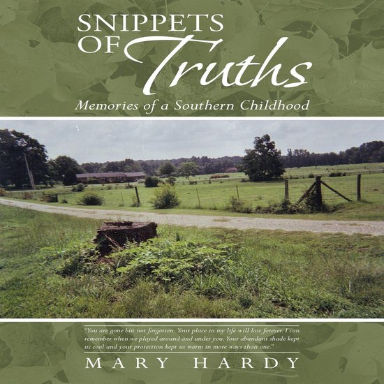 Snippets of Truths - cover