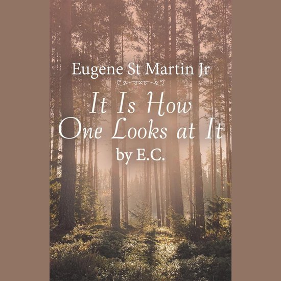 It Is How One Looks at It by E. C. - cover