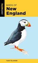 Falcon Pocket Guides - Birds of New England